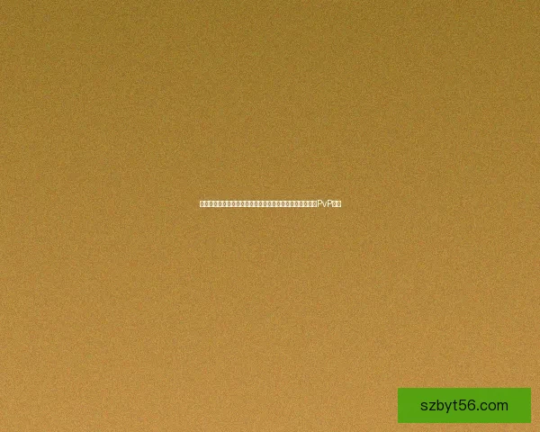 战斗贼玩法解析：从技能搭配到装备选择全面指南助你成为PvP高手